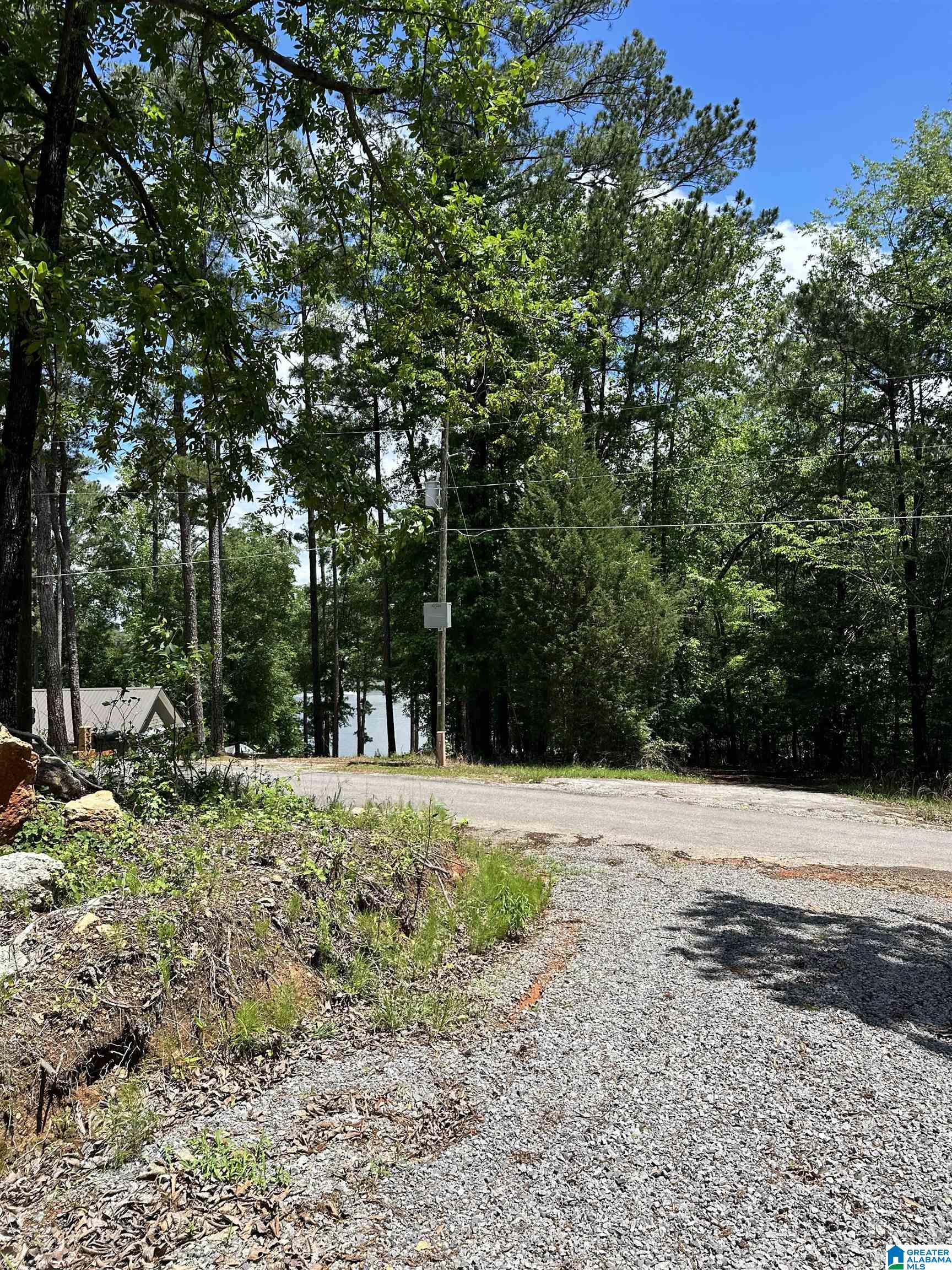 350 Black Acres Road, Unit 11 Cropwell, AL 35054 - Photo 7 of 16