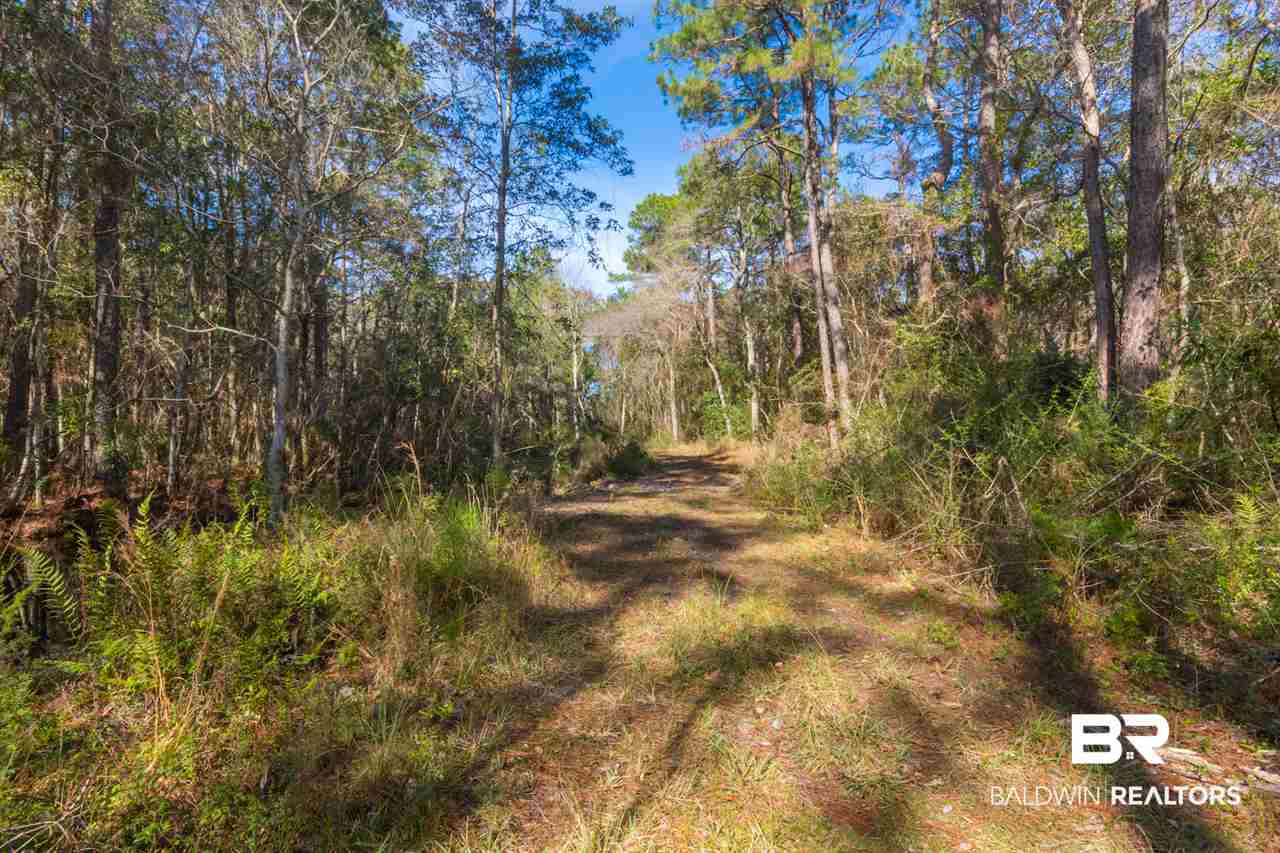 21801 County Road 28 Foley, AL 36535 - Photo 30 of 41