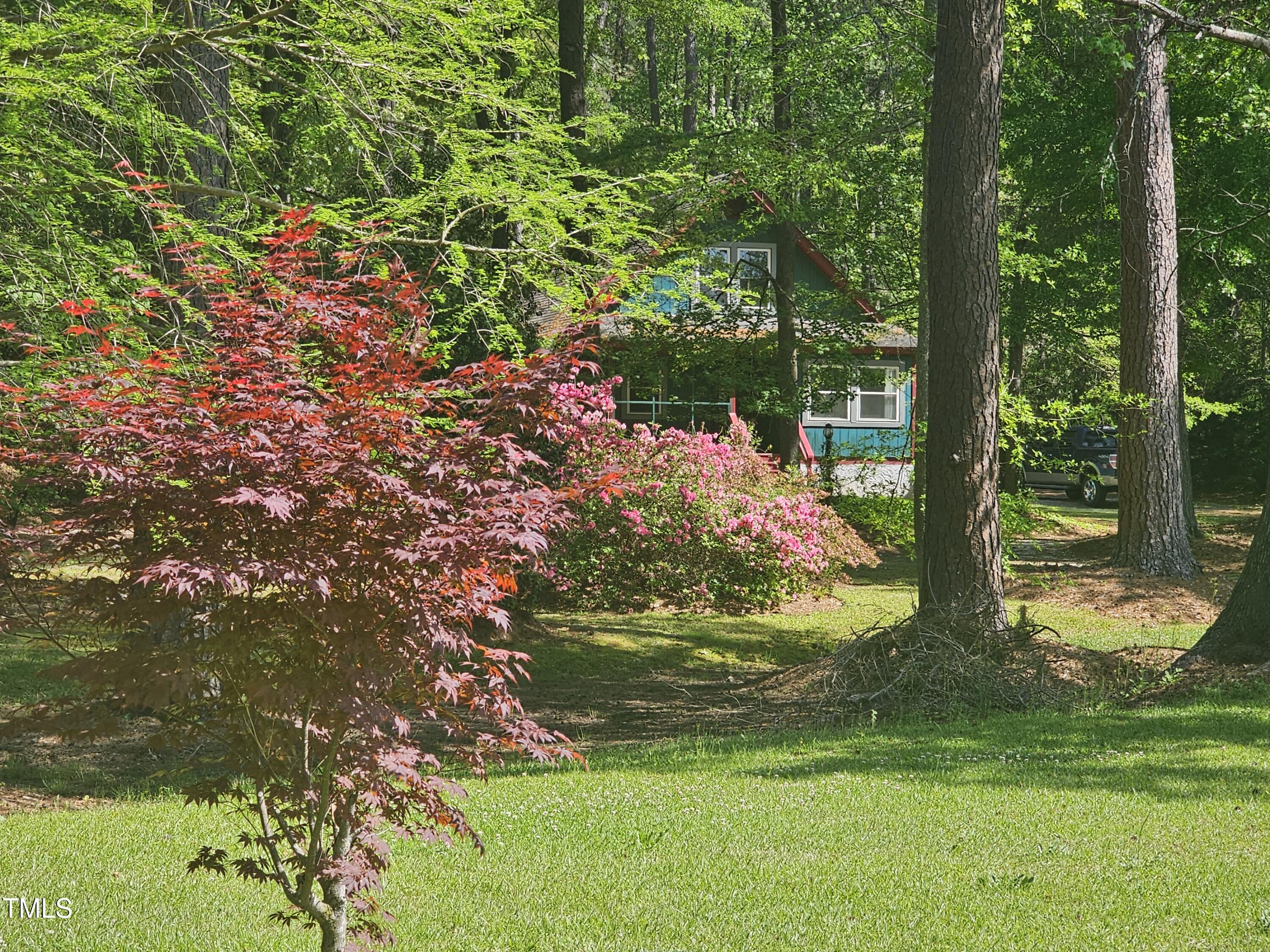 952 Glover Road Dunn, NC 28334 - Photo 4 of 31 a view of a garden with plants and large trees