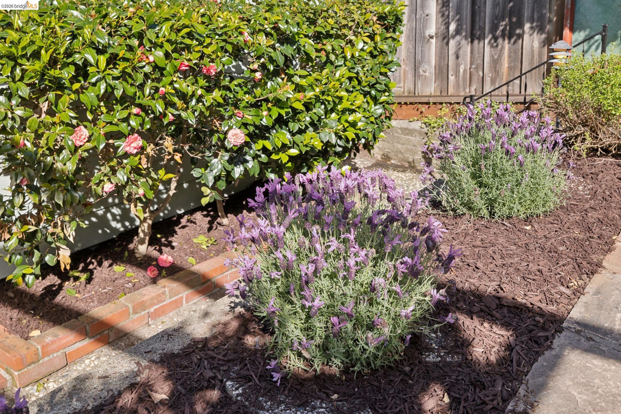 37 Kenyon Avenue Kensington, CA 94708 - Photo 53 of 60
