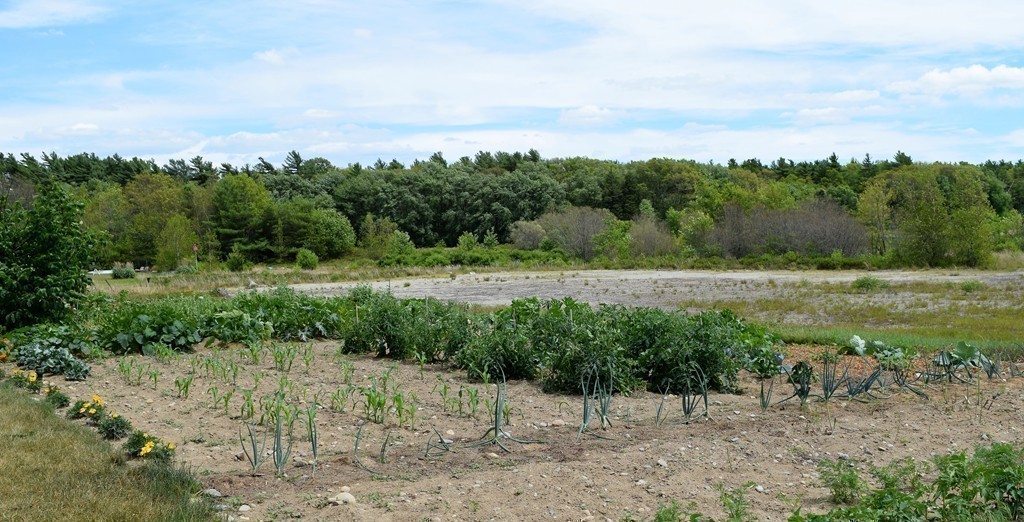 102 Howland Road Freetown, MA 02702 - Photo 27 of 30 a view of a field with trees in background