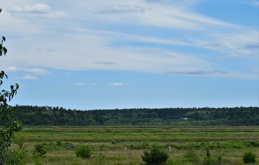 102 Howland Road Freetown, MA 02702 - Photo 10 of 30 a view of a grassy field