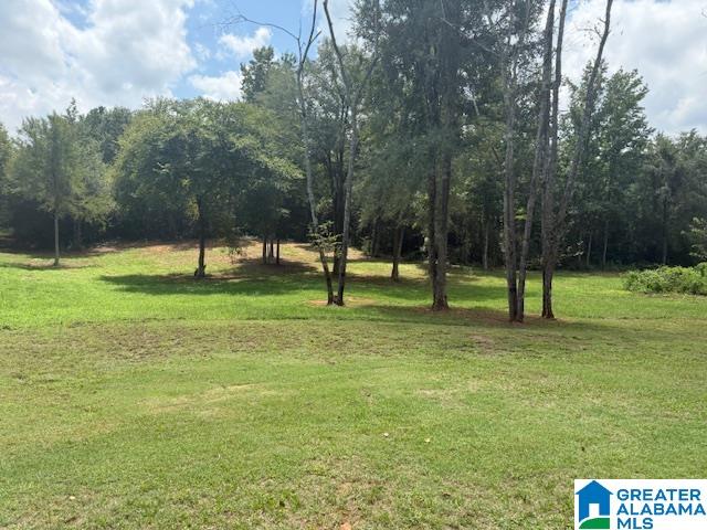 580 Idalia Road Talladega, AL 35160 - Photo 1 of 47