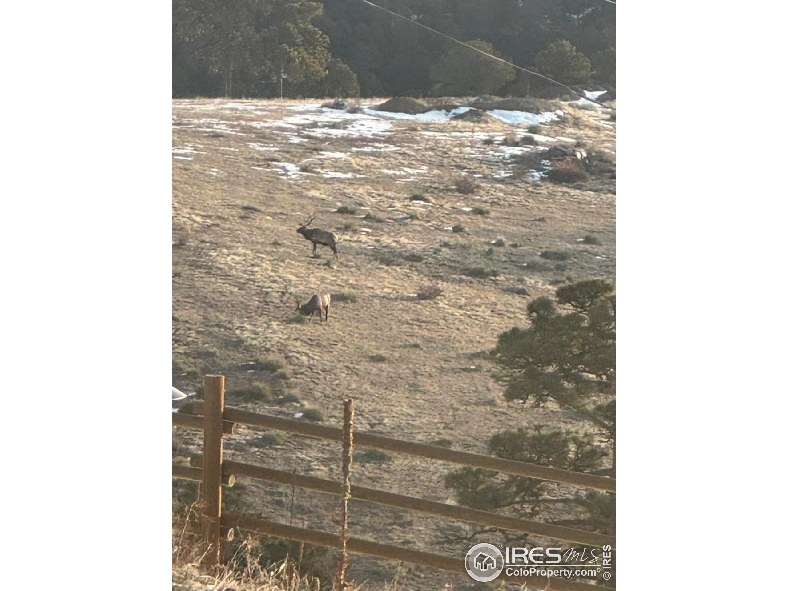 27033 Thea Gulch Road Golden, CO 80403 - Photo 42 of 42