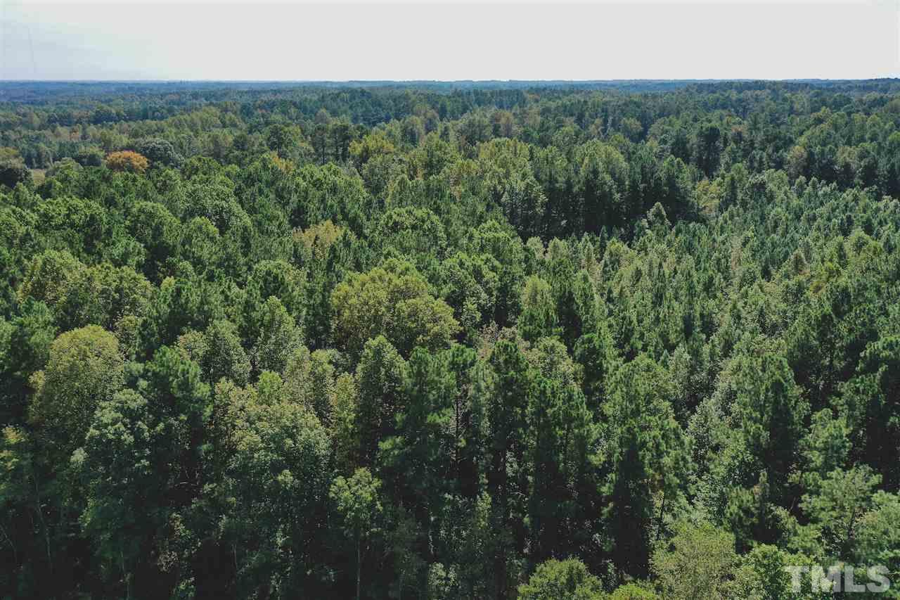 9.1-ac Wiley Road Spring Hope, NC 27882 - Photo 3 of 13