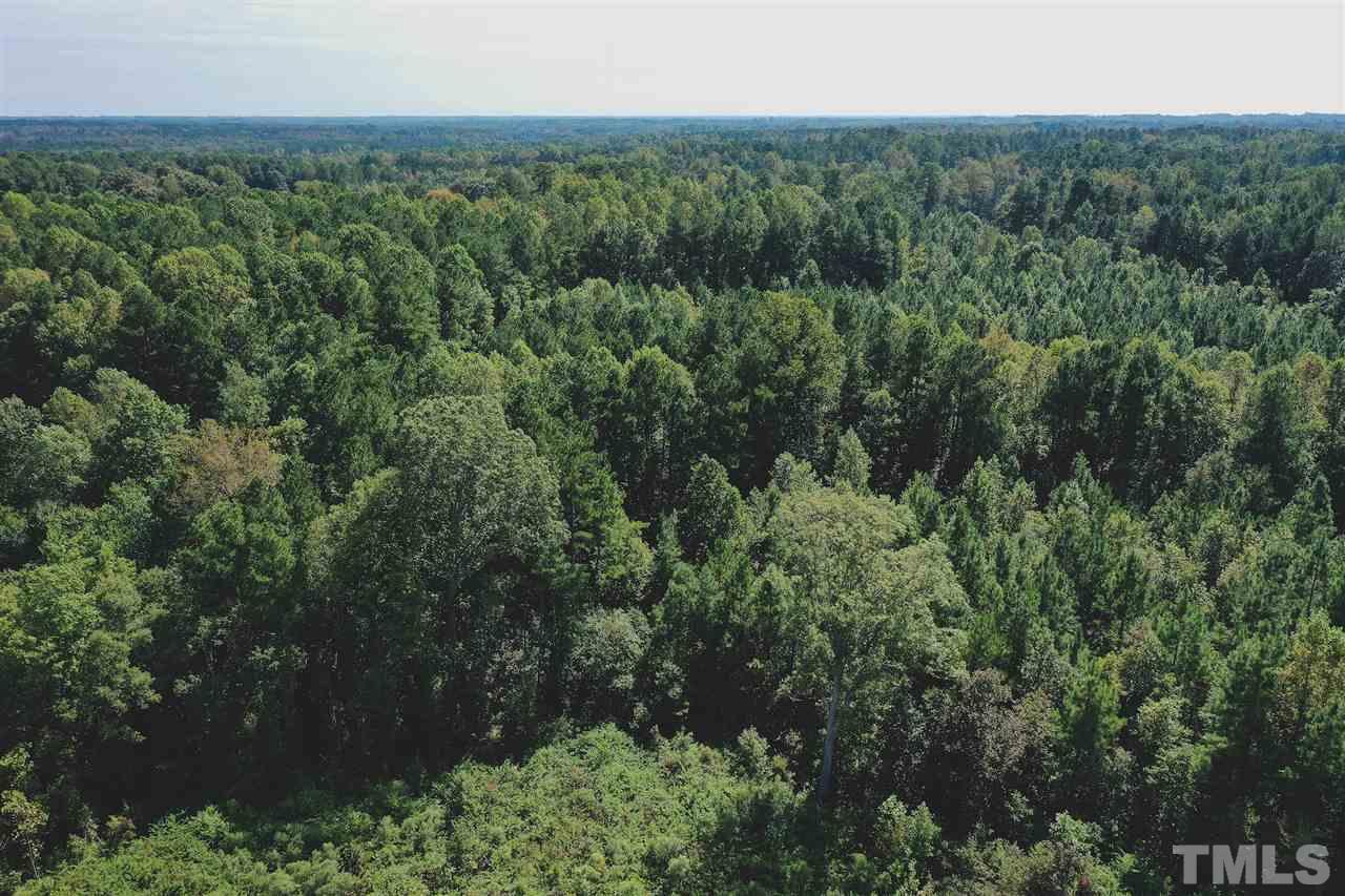 9.1-ac Wiley Road Spring Hope, NC 27882 - Photo 4 of 13