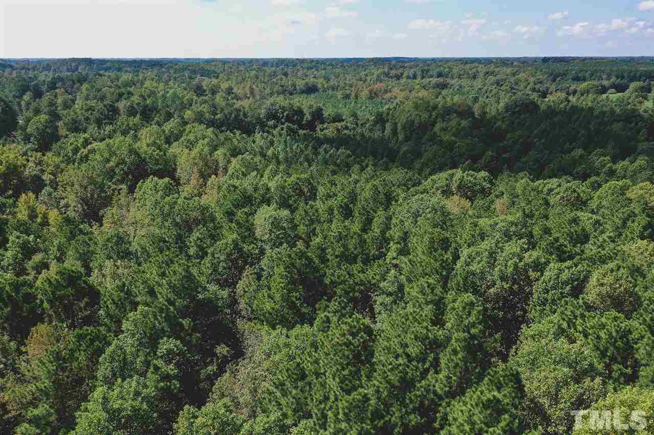 9.1-ac Wiley Road Spring Hope, NC 27882 - Photo 5 of 13