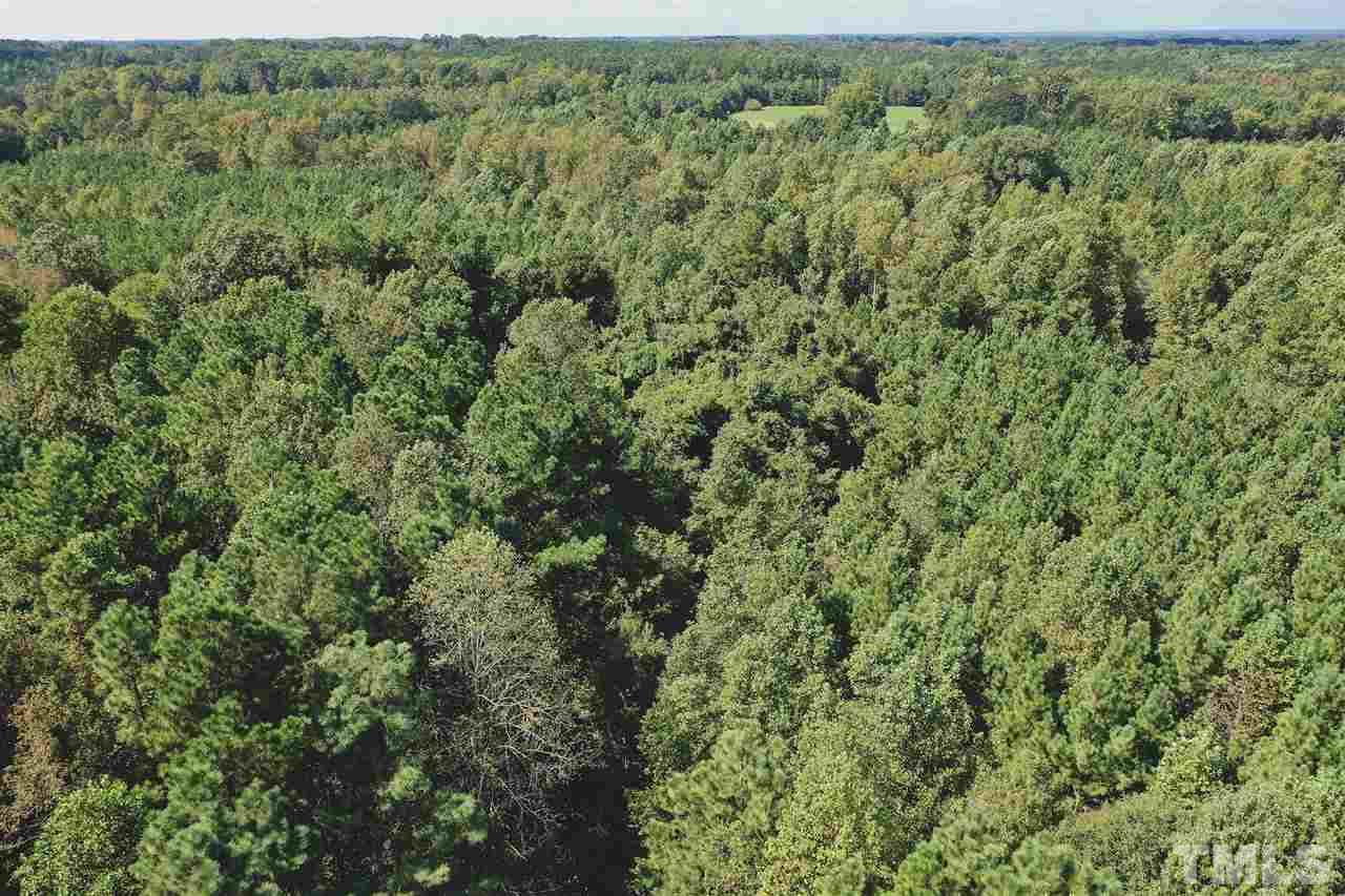 9.1-ac Wiley Road Spring Hope, NC 27882 - Photo 6 of 13