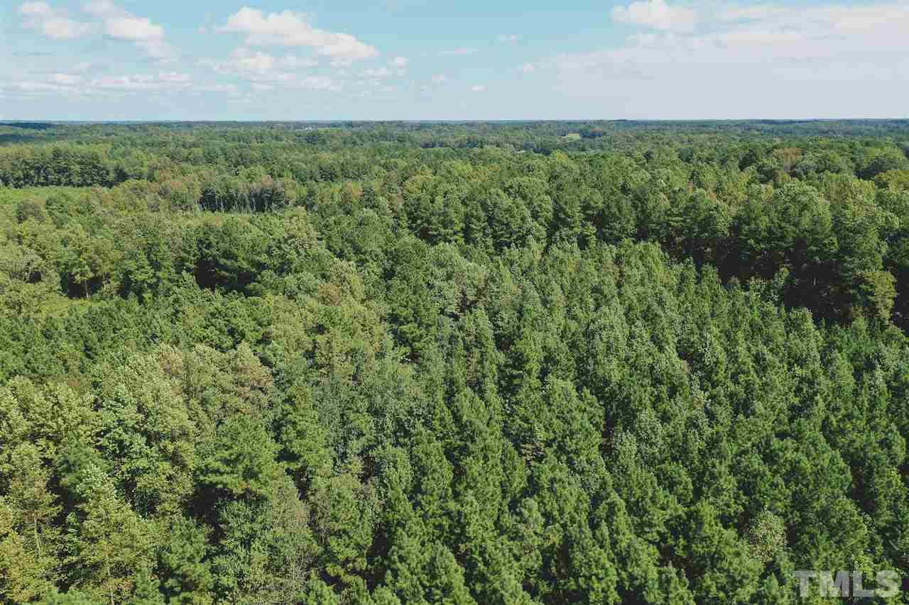 9.1-ac Wiley Road Spring Hope, NC 27882 - Photo 7 of 13