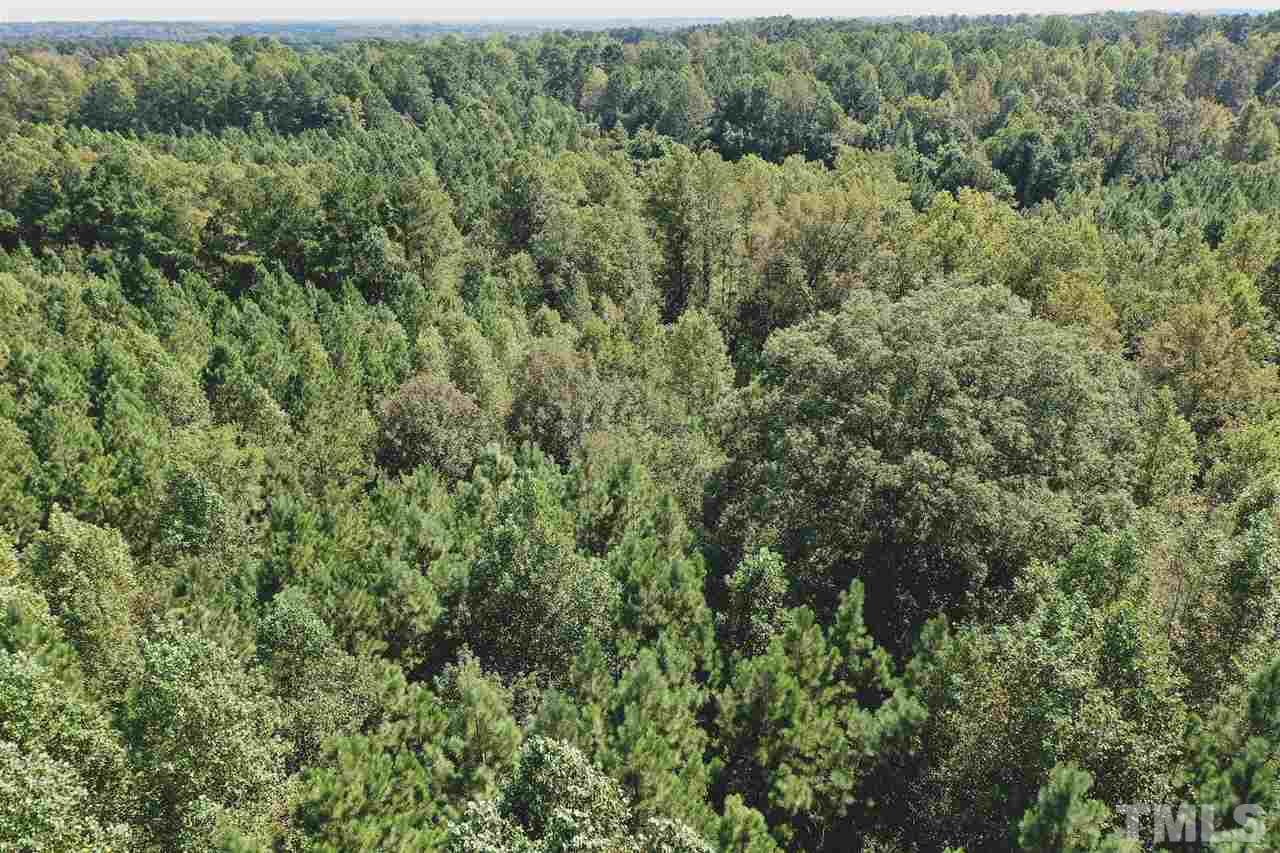 9.1-ac Wiley Road Spring Hope, NC 27882 - Photo 9 of 13
