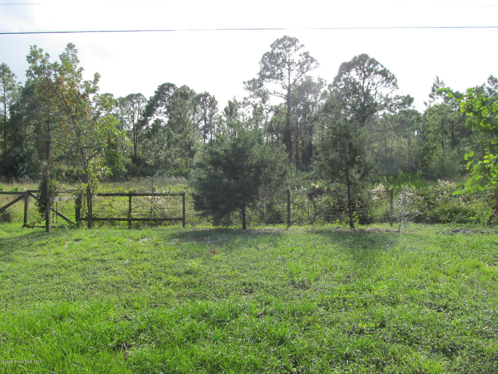 1140 Sexton Road Southwest Palm Bay, FL 32908 - Photo 16 of 20 a view of a field