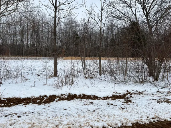 $244,900 | 01275 47 1/2 Street, Grand Junction, MI 49056
