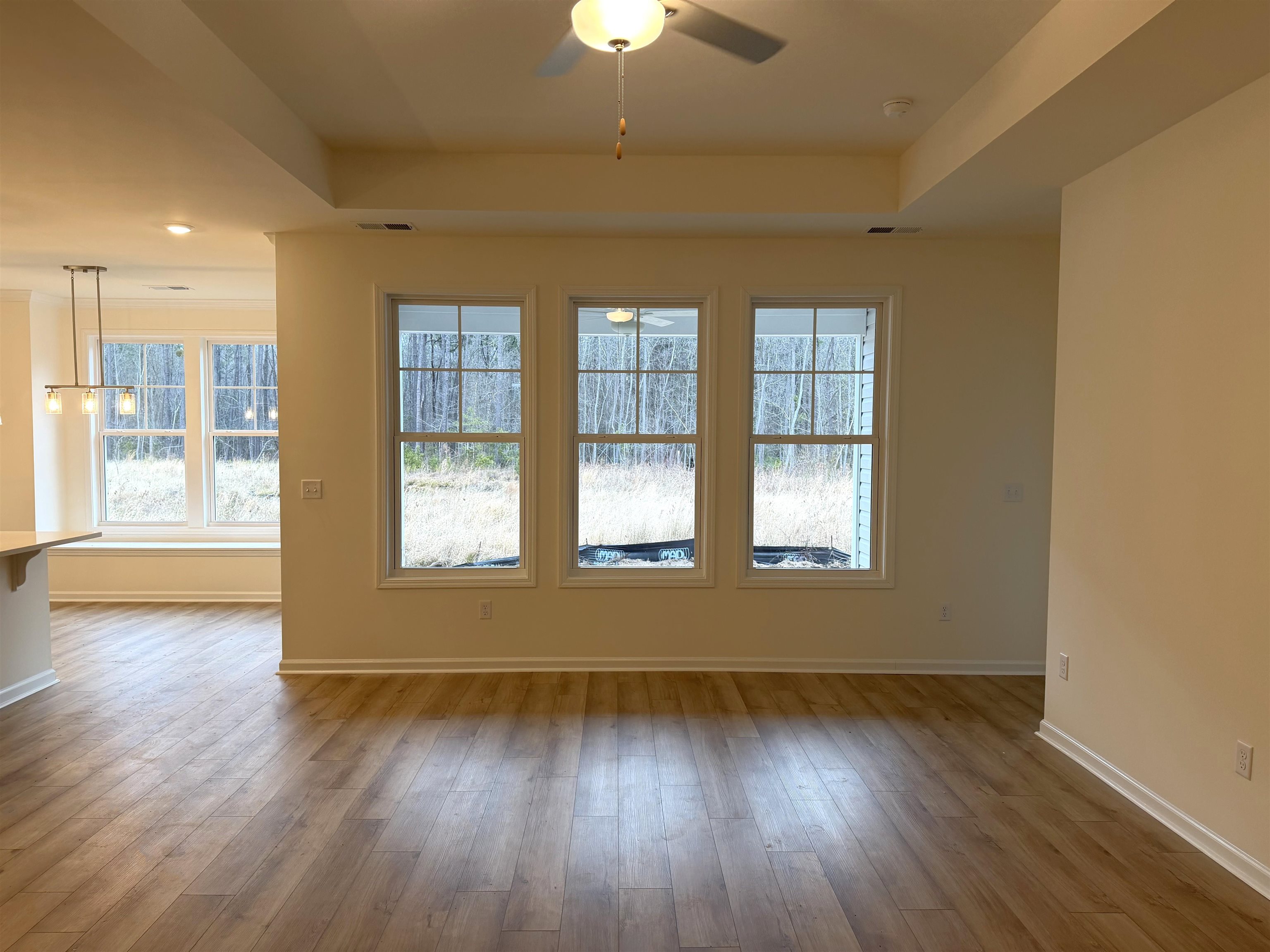 3040 Gadwall Drive Aynor, SC 29511 - Photo 4 of 27