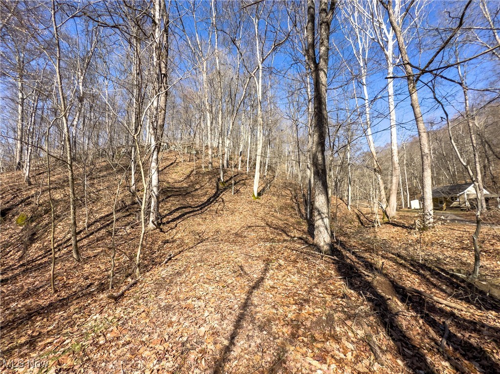 47562 Pratts Run Road Clarington, OH 43915 - Photo 32 of 49 View of local wilderness