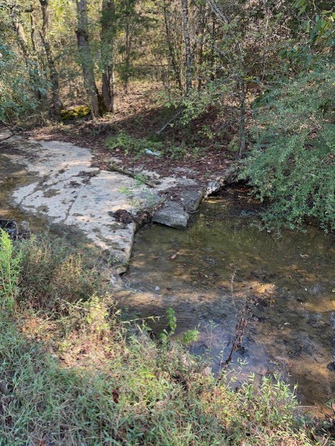35 Dog Branch Road Pleasant Shade, TN 37145 - Photo 35 of 36 Creek at front of property