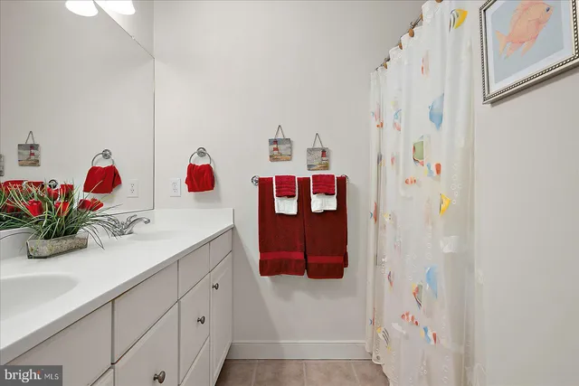 a bathroom with a sink and a shower