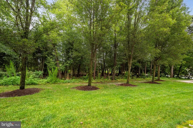 a backyard of a house with lots of green space and trampoline