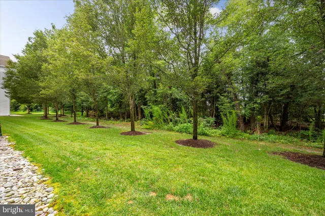 a huge green field with lots of trees