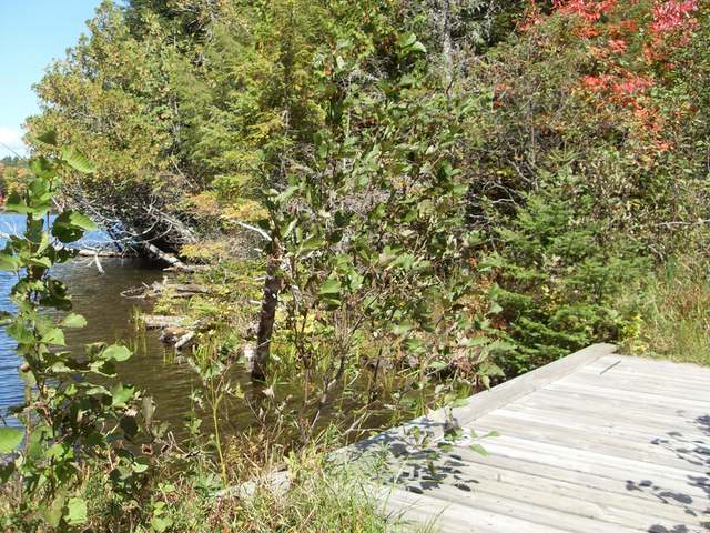 6097 Beatons Lake Road Watersmeet, MI 49969 - Photo 3 of 20 Gallery Image 3