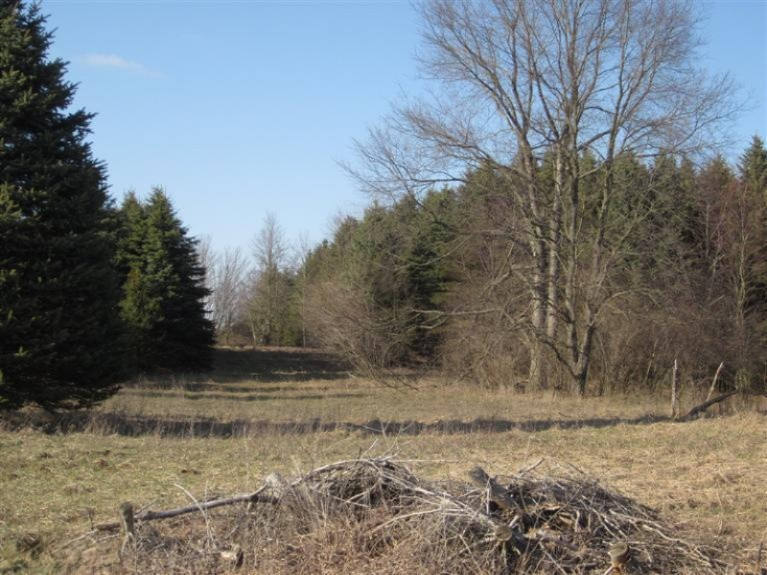 Dickinson Road Hesperia, MI 49421 - Photo 8 of 18 Additional Photo