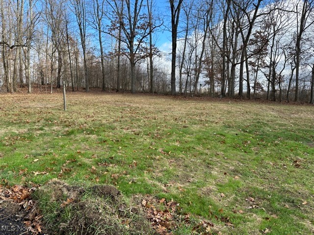 37484 Applegate Road Lisbon, OH 44432 - Photo 27 of 35 Gallery Image 27