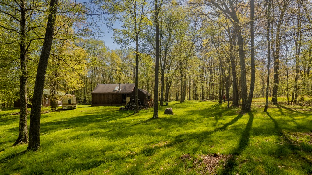 1000 Reeds Furnace Road Polk, PA 16342 - Photo 2 of 56
