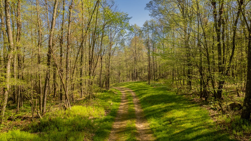 1000 Reeds Furnace Road Polk, PA 16342 - Photo 29 of 56