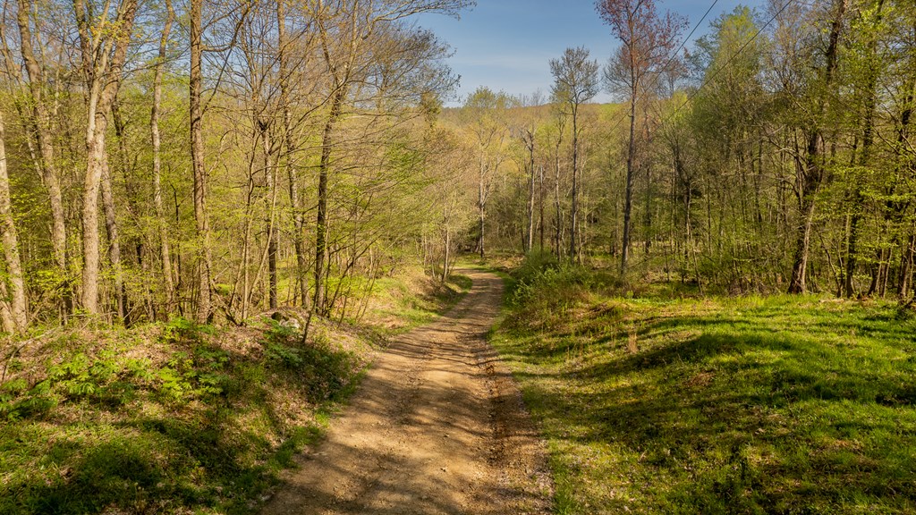 1000 Reeds Furnace Road Polk, PA 16342 - Photo 30 of 56