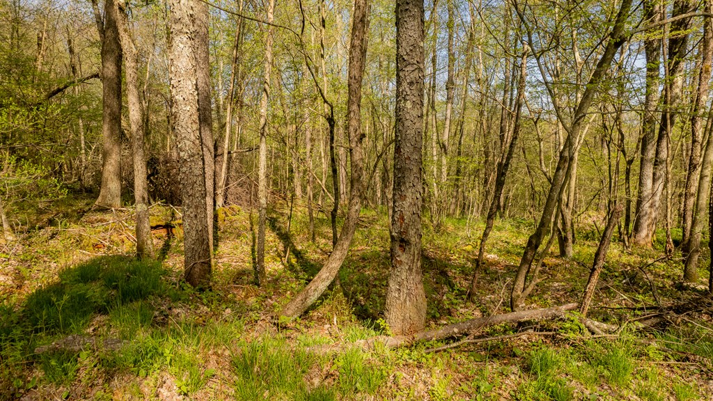 1000 Reeds Furnace Road Polk, PA 16342 - Photo 31 of 56