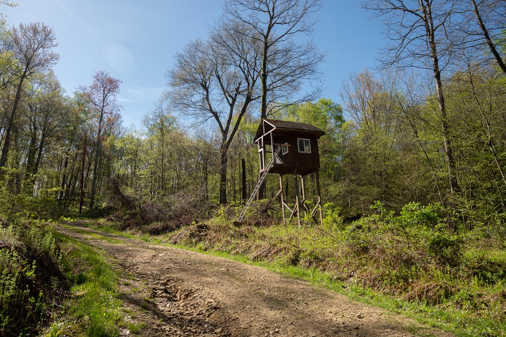1000 Reeds Furnace Road Polk, PA 16342 - Photo 45 of 56