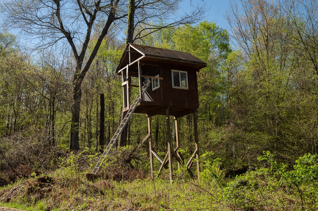 1000 Reeds Furnace Road Polk, PA 16342 - Photo 46 of 56