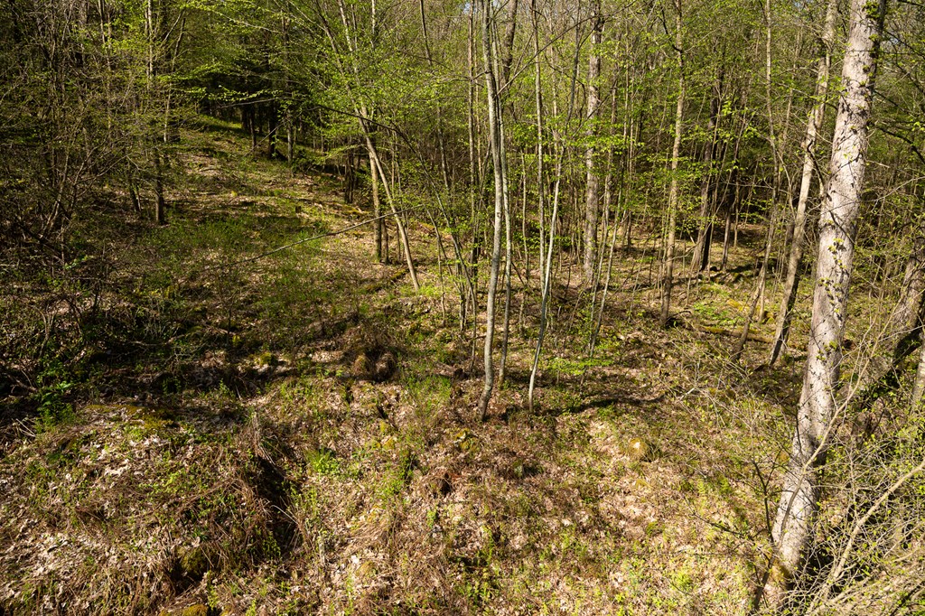 1000 Reeds Furnace Road Polk, PA 16342 - Photo 49 of 56