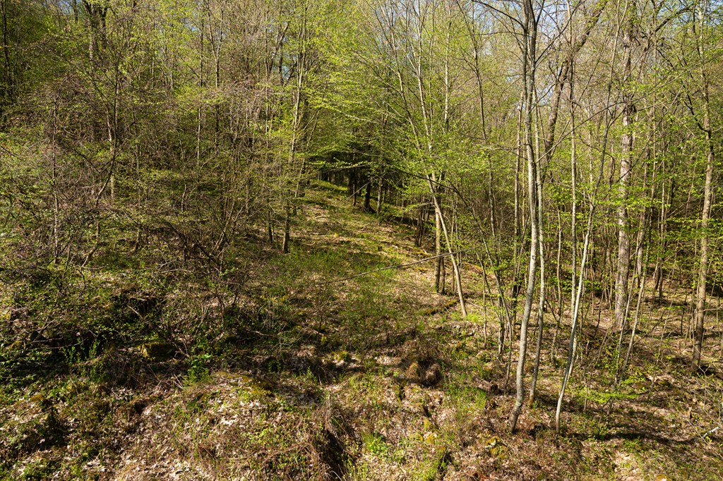 1000 Reeds Furnace Road Polk, PA 16342 - Photo 50 of 56
