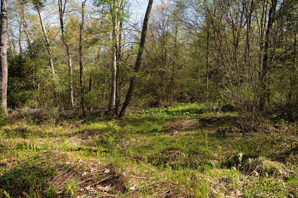 1000 Reeds Furnace Road Polk, PA 16342 - Photo 51 of 56