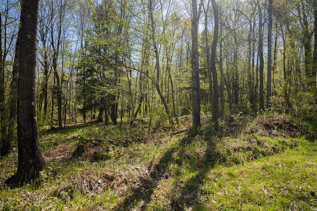 1000 Reeds Furnace Road Polk, PA 16342 - Photo 52 of 56