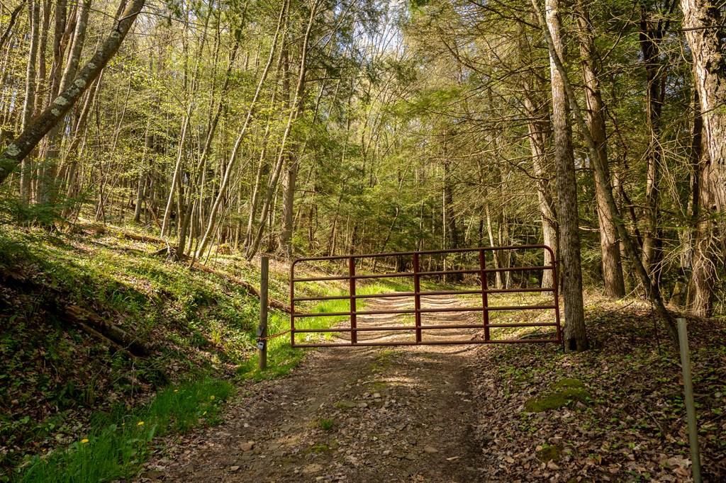 1000 Reeds Furnace Road Polk, PA 16342 - Photo 53 of 56