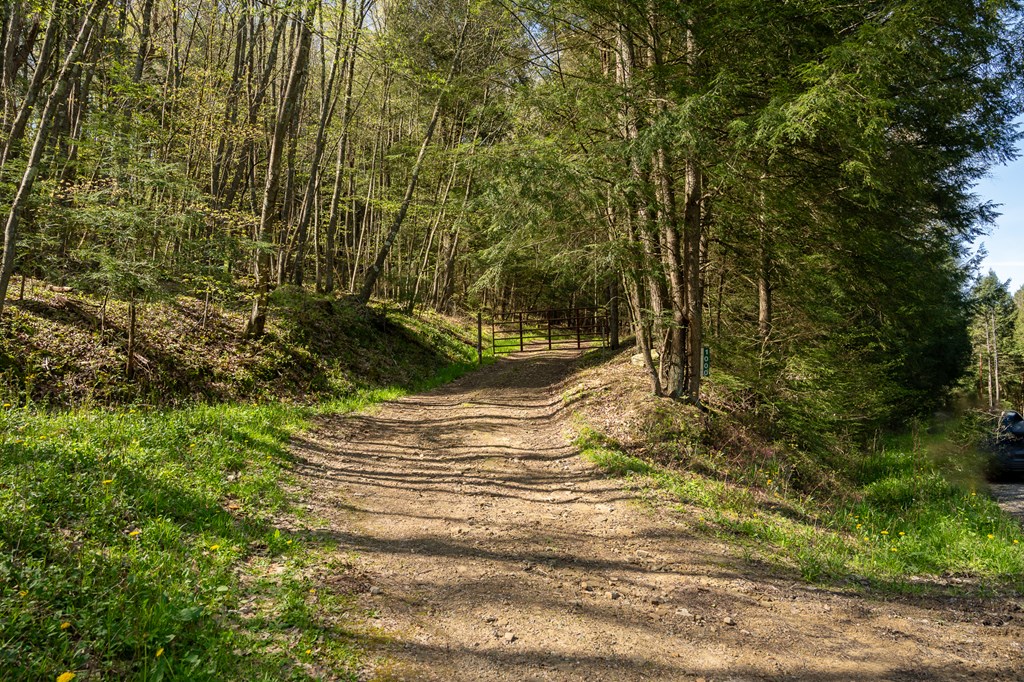 1000 Reeds Furnace Road Polk, PA 16342 - Photo 54 of 56