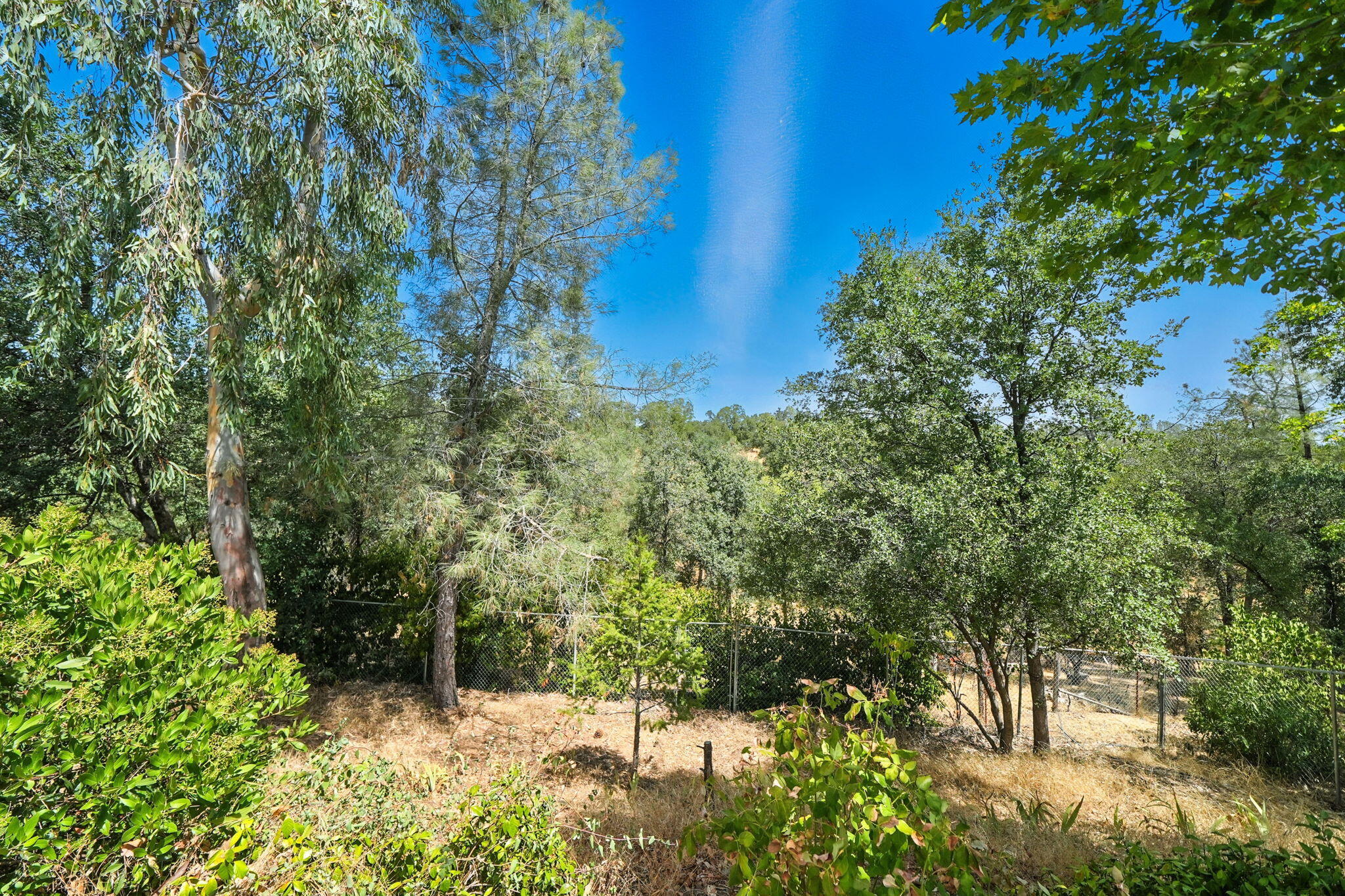 3588 Magnums Way Redding, CA 96003 - Photo 27 of 35 a view of a yard with plants and tree