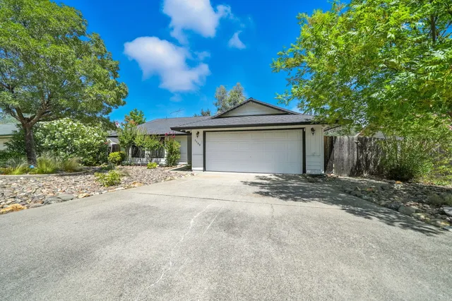 a picture of flowers