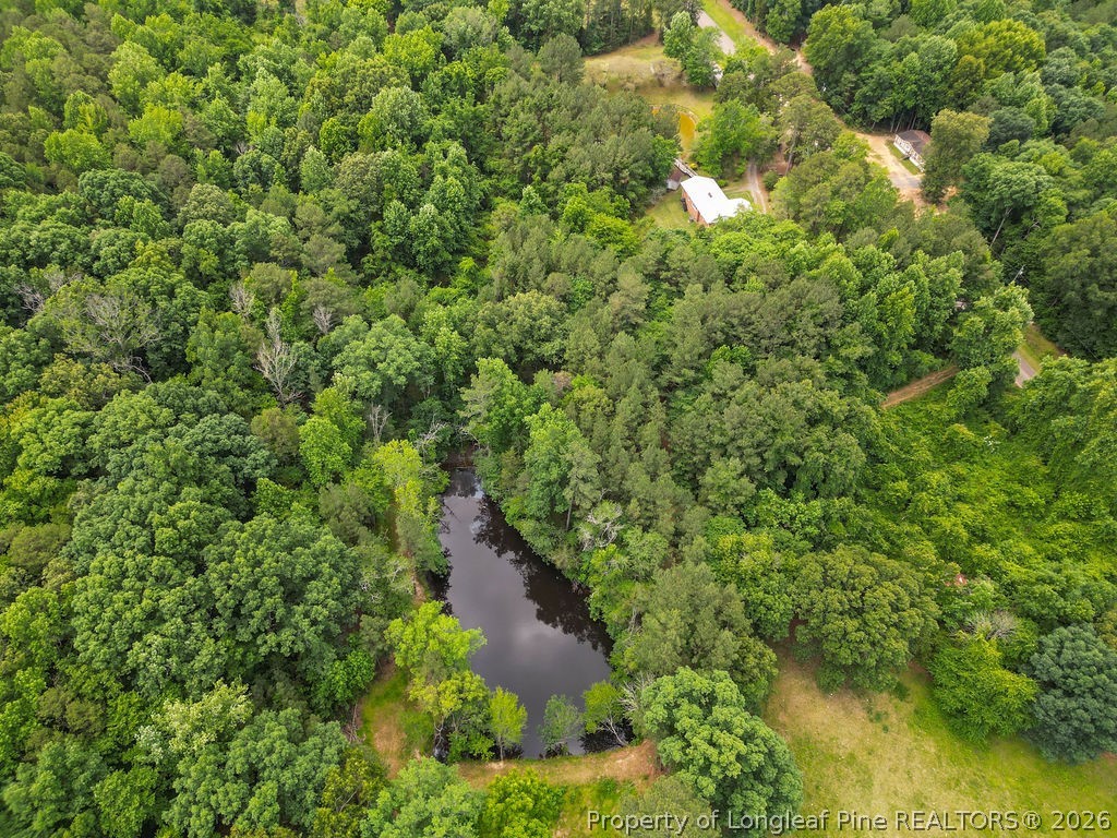 475 Simmons Road Robbins, NC 27325 - Photo 30 of 41