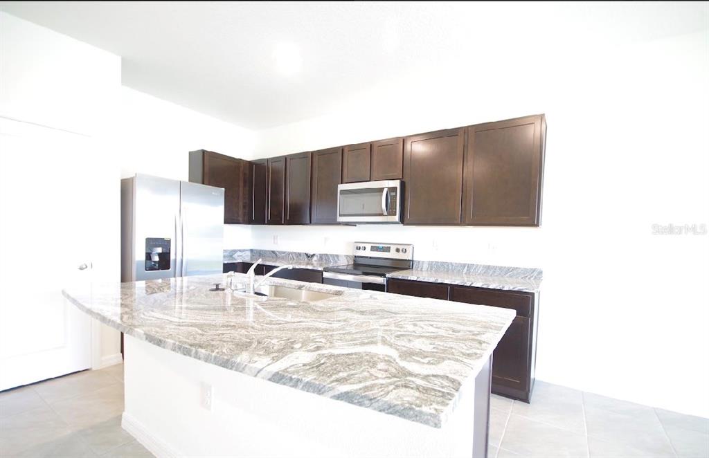 32312 Turtle Grace Loop Wesley Chapel, FL 33545 - Photo 18 of 23