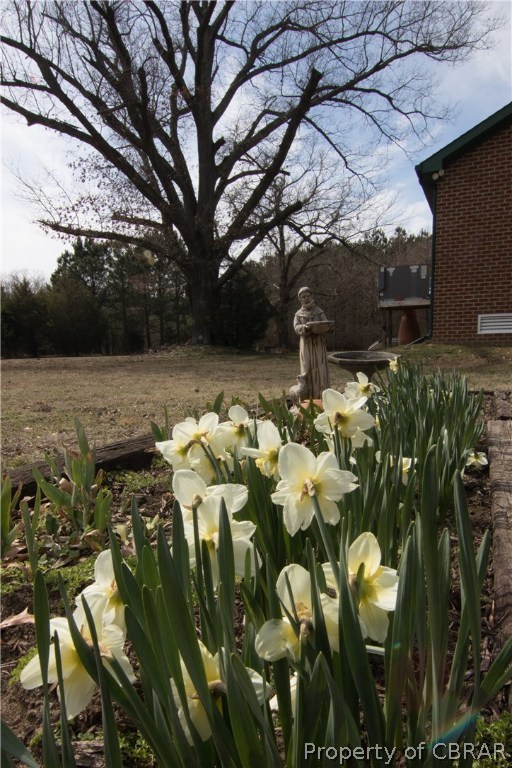 2460 Chelsea Road West Point, VA 23181 - Photo 24 of 25