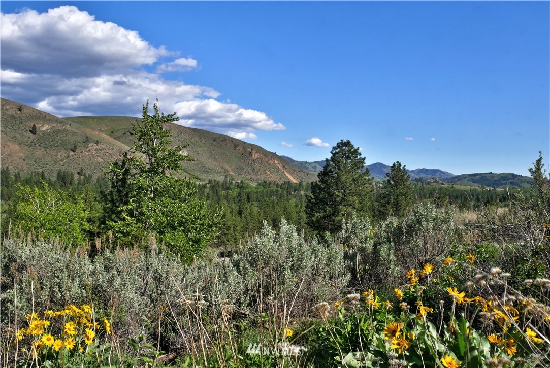 2 Williams Road Winthrop, WA 98862 - Photo 1 of 33 Gallery Image 1