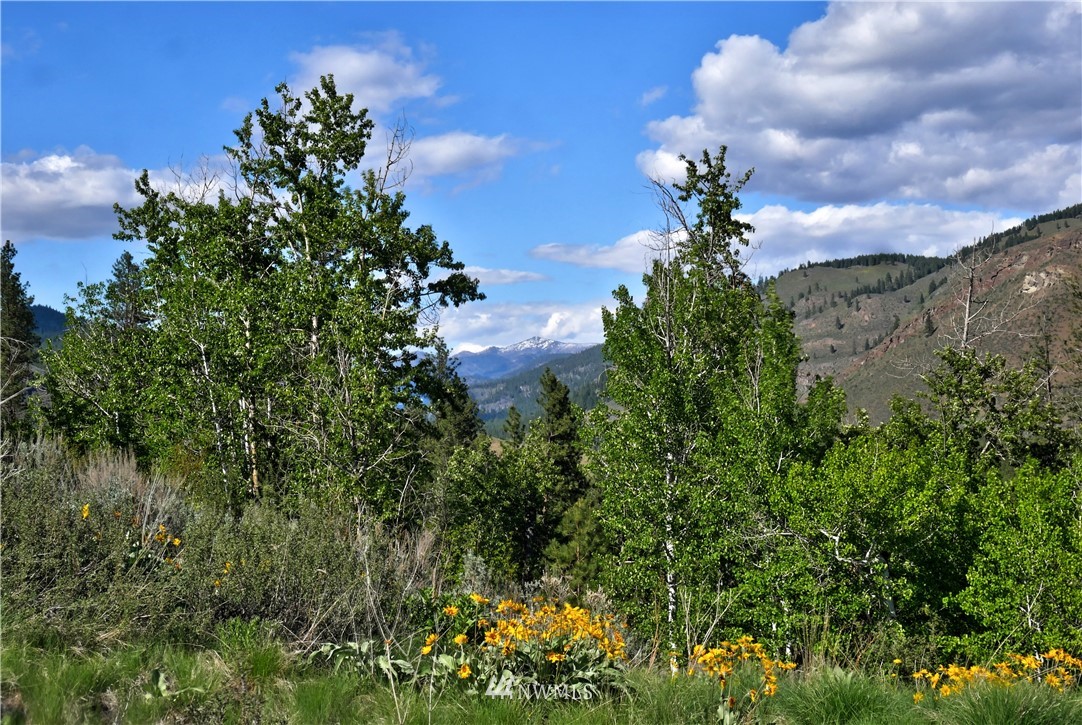 2 Williams Road Winthrop, WA 98862 - Photo 11 of 33 Gallery Image 11