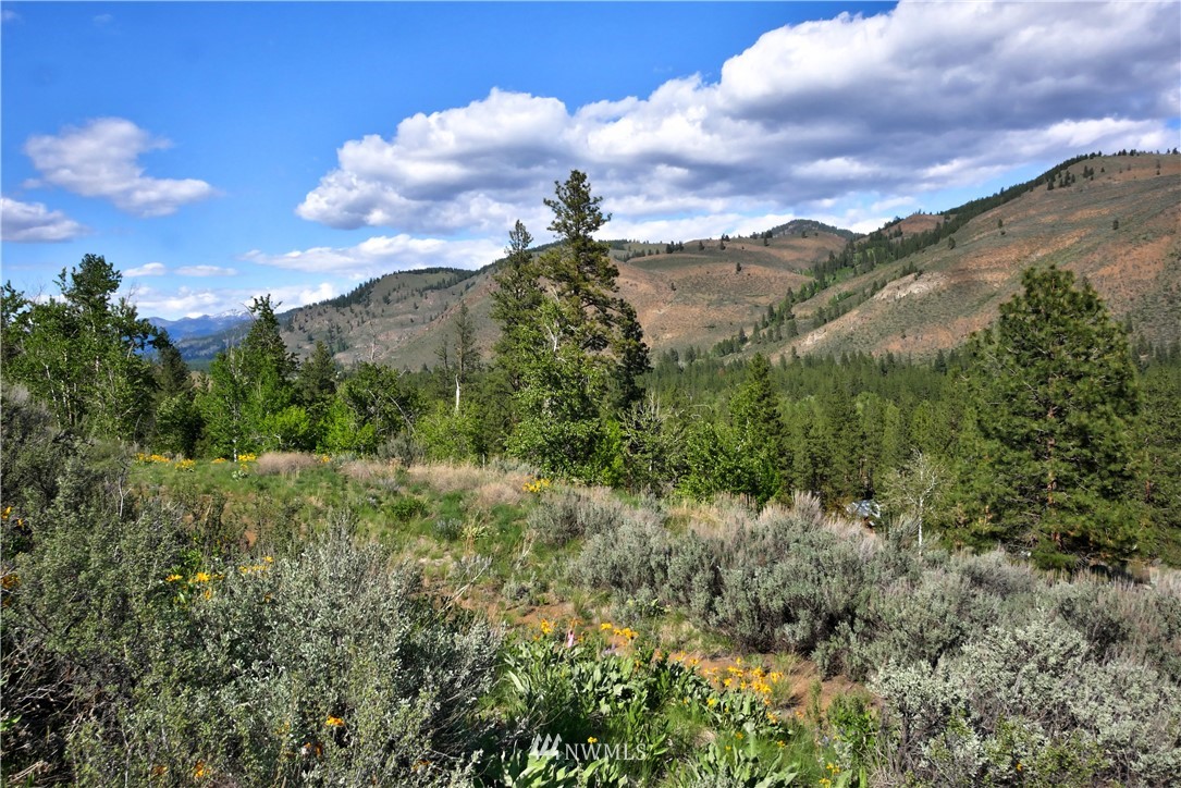 2 Williams Road Winthrop, WA 98862 - Photo 14 of 33 Gallery Image 14