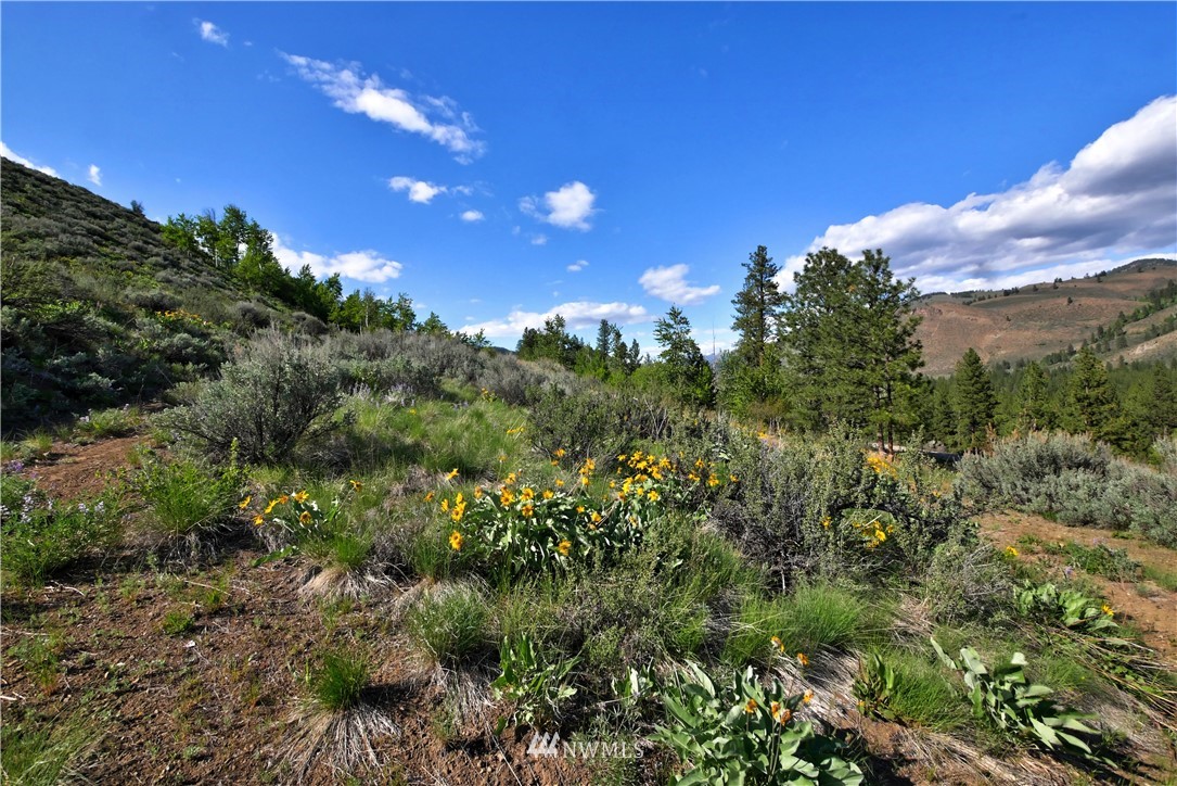 2 Williams Road Winthrop, WA 98862 - Photo 17 of 33 Gallery Image 17