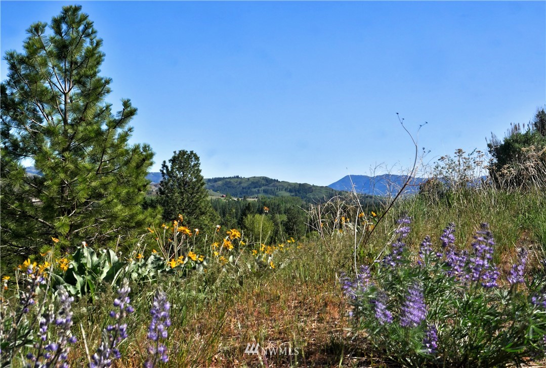 2 Williams Road Winthrop, WA 98862 - Photo 20 of 33 Gallery Image 20