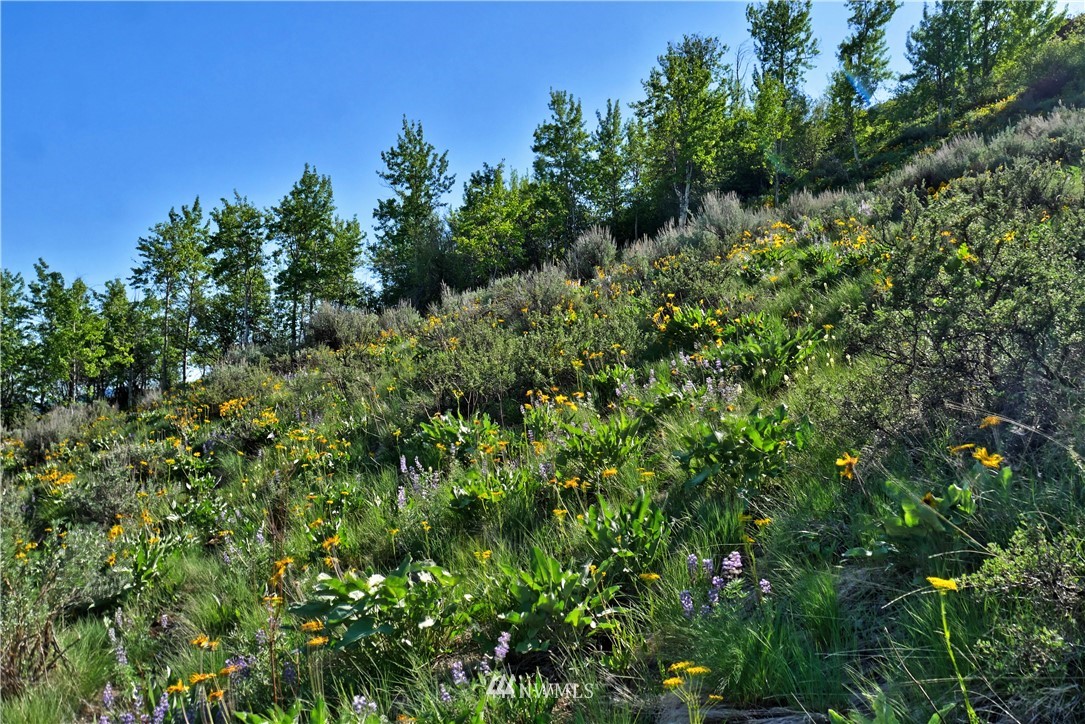 2 Williams Road Winthrop, WA 98862 - Photo 3 of 33 Gallery Image 3