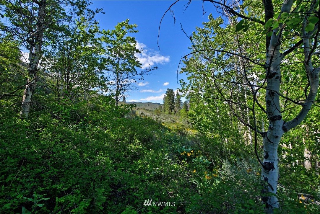 2 Williams Road Winthrop, WA 98862 - Photo 24 of 33 Gallery Image 24
