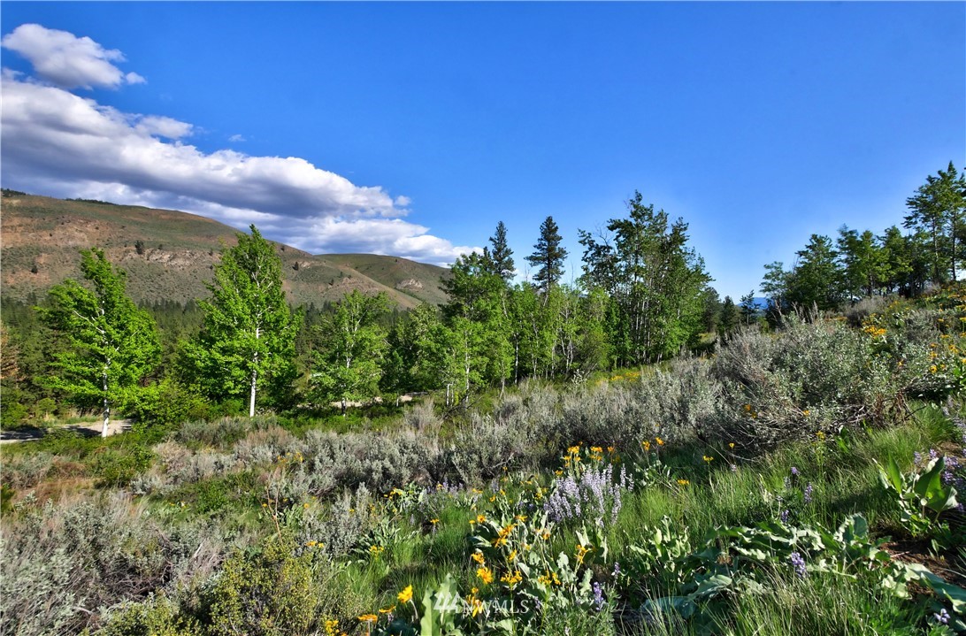 2 Williams Road Winthrop, WA 98862 - Photo 4 of 33 Gallery Image 4